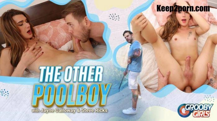 The Other Poolboy - Buddy Wood, Grooby Jayne Calloway, Steve Ricks - (2024/FullHD)